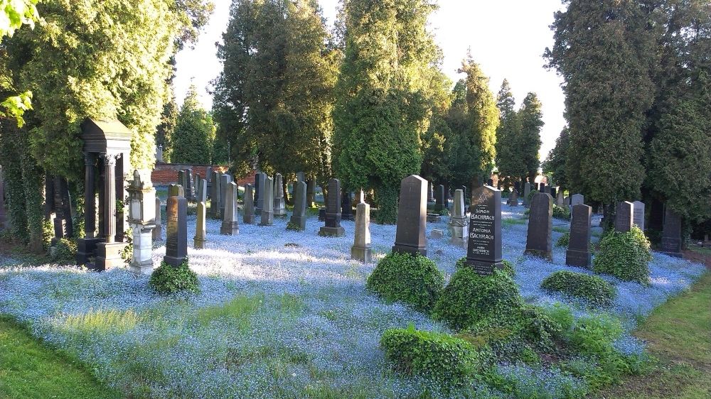 Kraj pomůže zachránit dřevouhelnou pec nebo třeba židovský hřbitov v Opavě